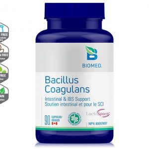 baccilus probiotic